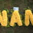 Floral tribute letters