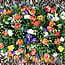 Double ended floral tribute
